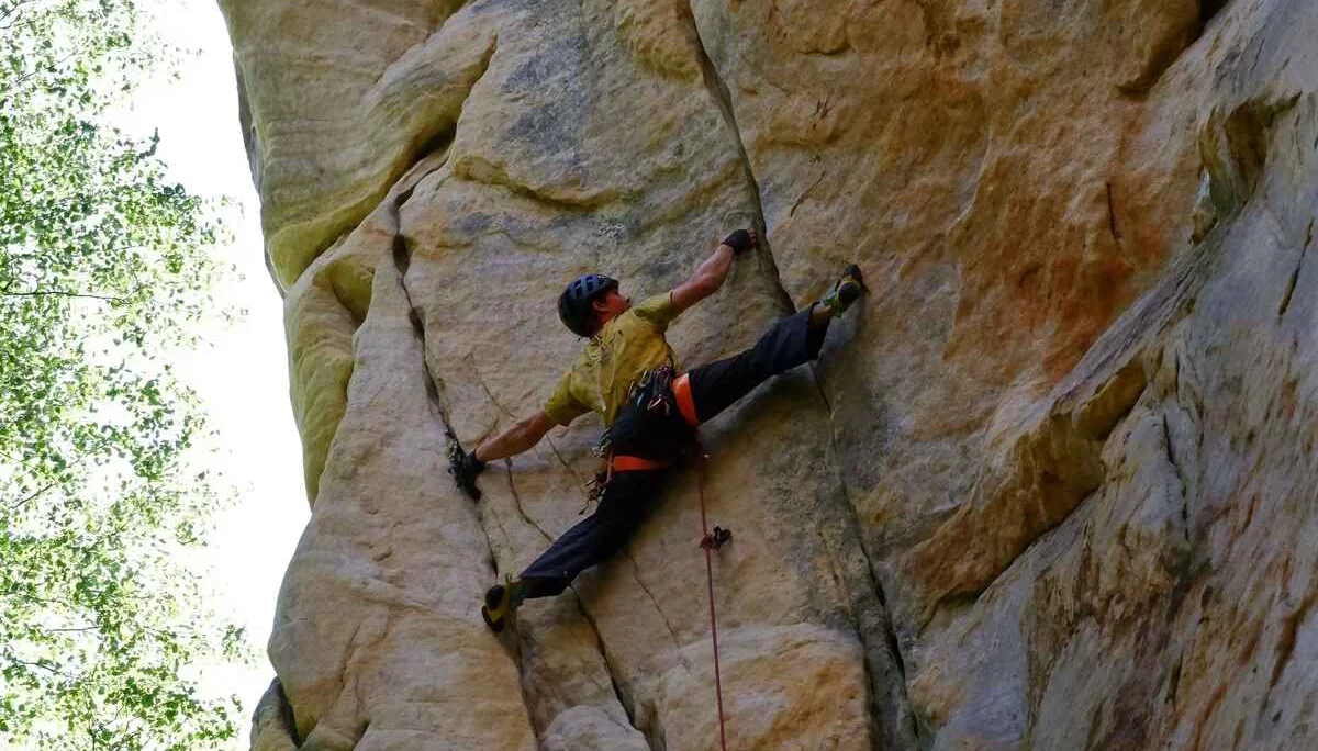 © Felskader Sachsen