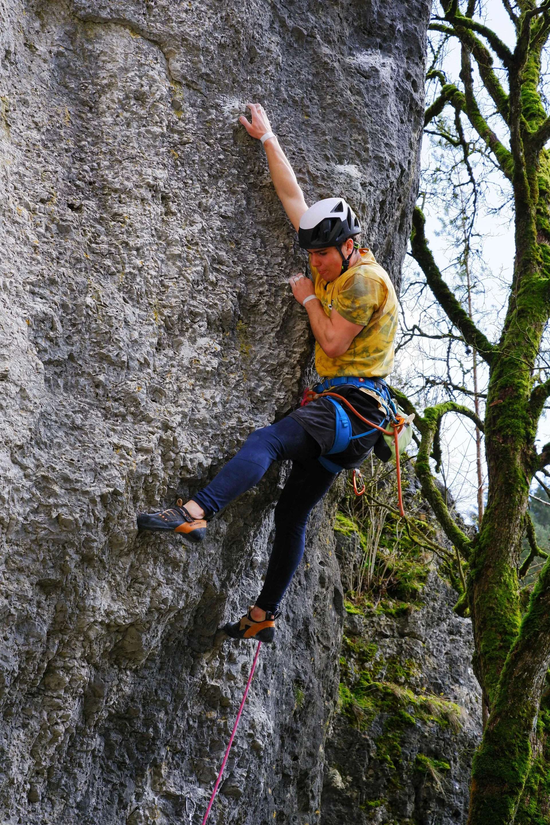 © Felskader Sachsen