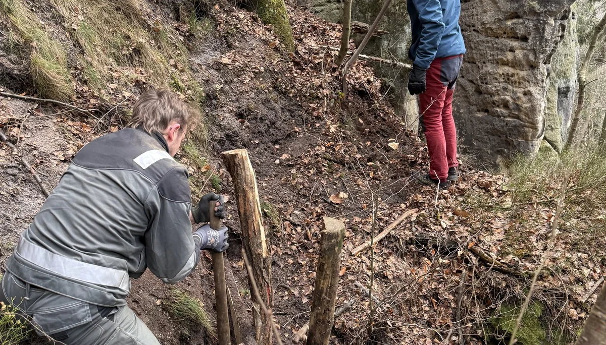 © Felskader Sachsen