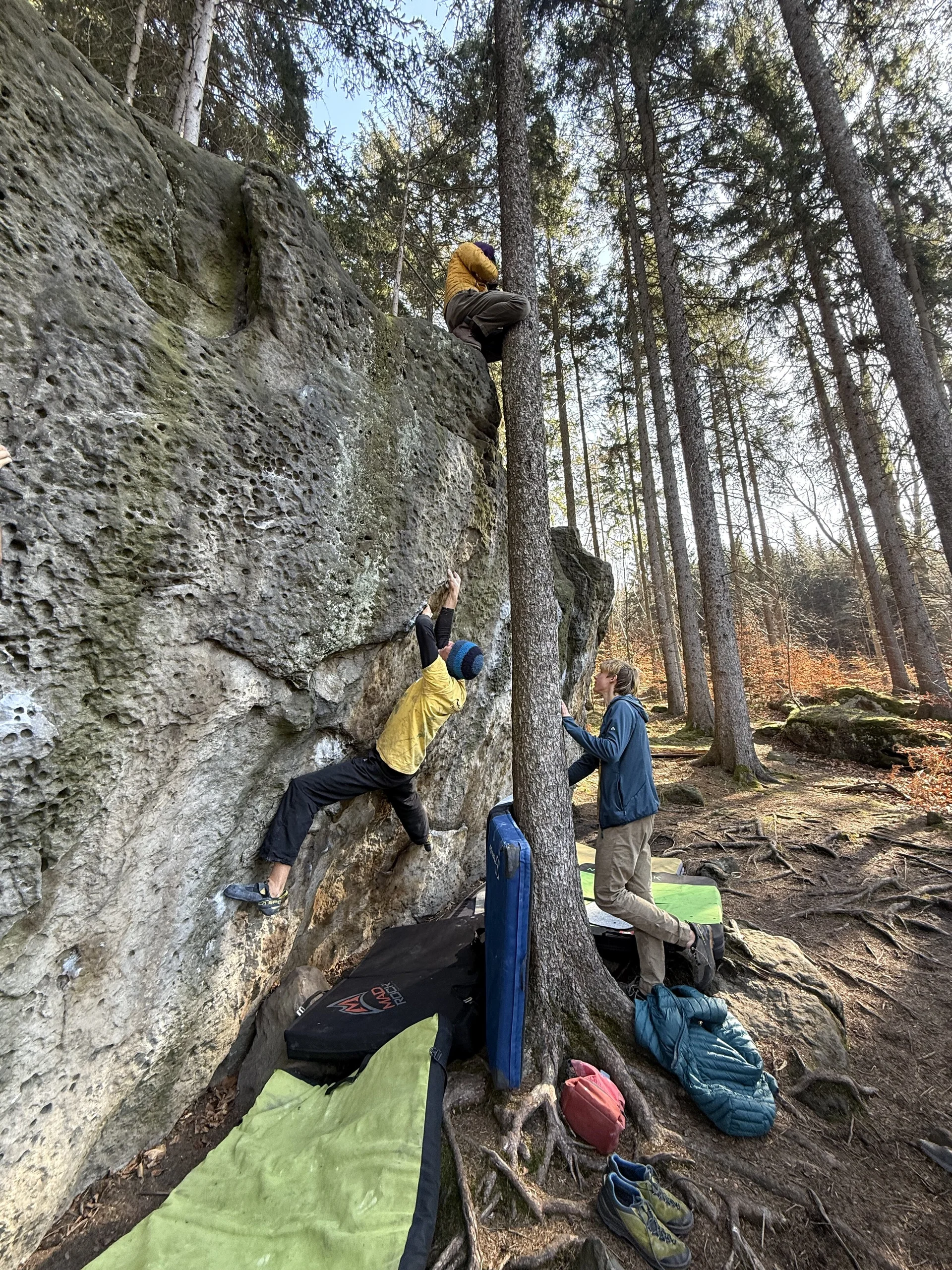 © Felskader Sachsen