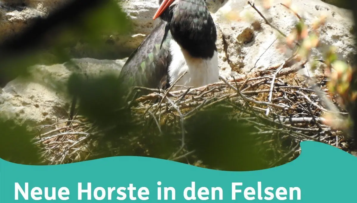 © NPV Sächsische Schweiz