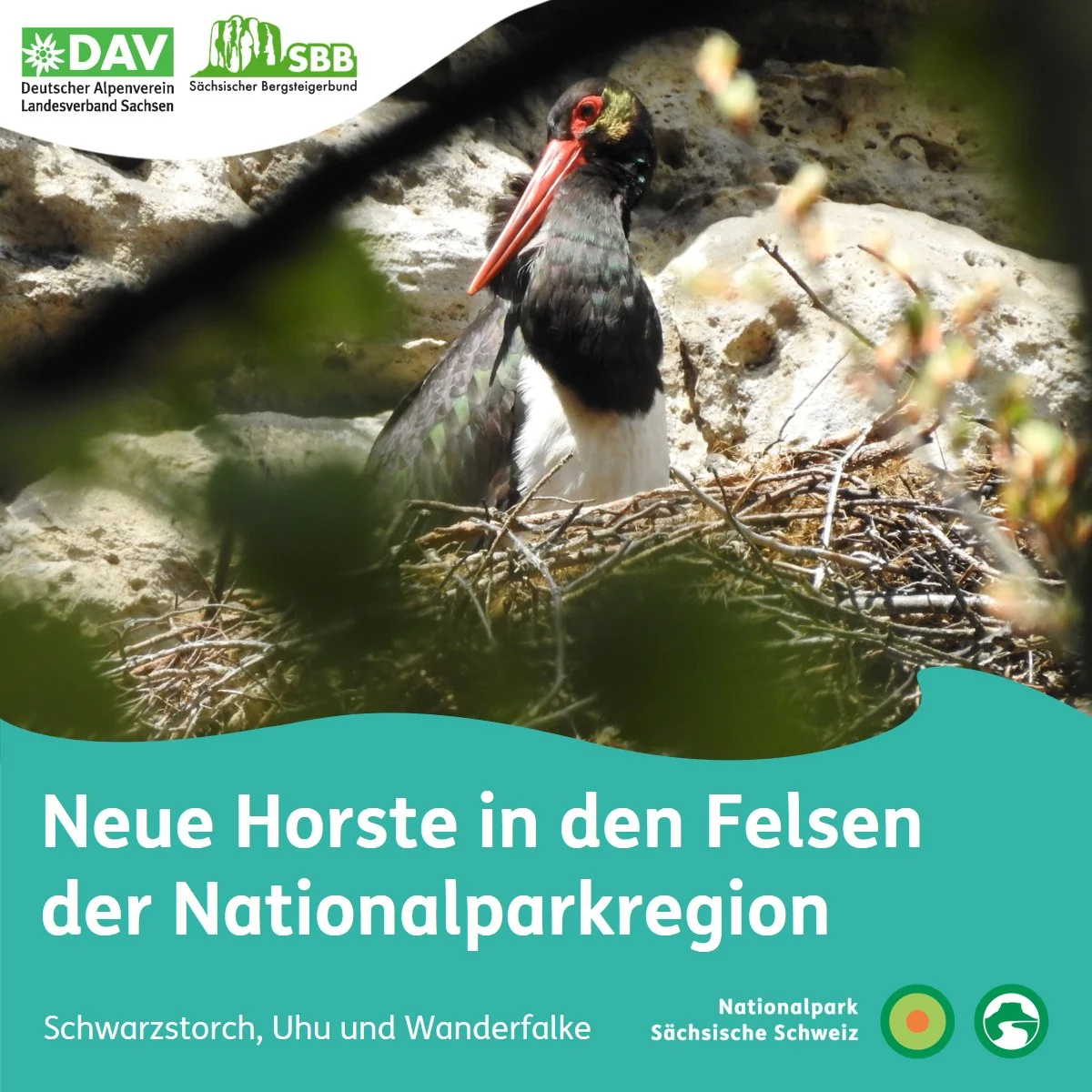 © NPV Sächsische Schweiz