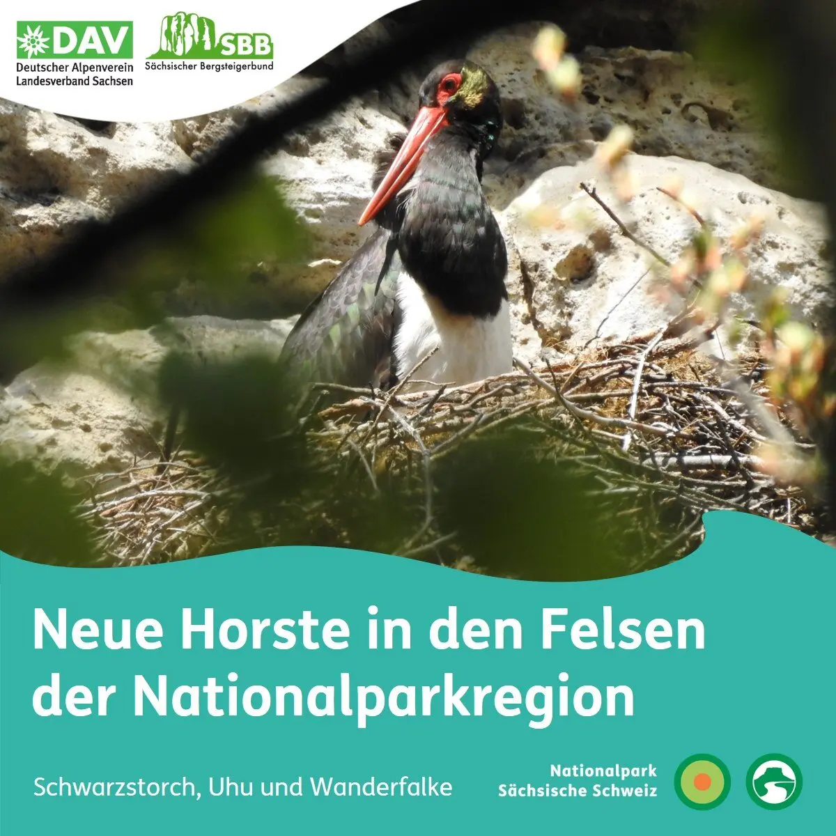 © NPV Sächsische Schweiz