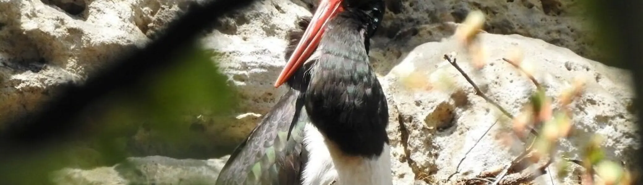 © Michael Hörenz (NPV)