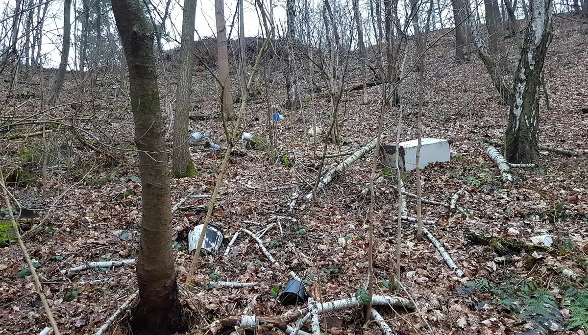 © DAV Landesverband Sachsen