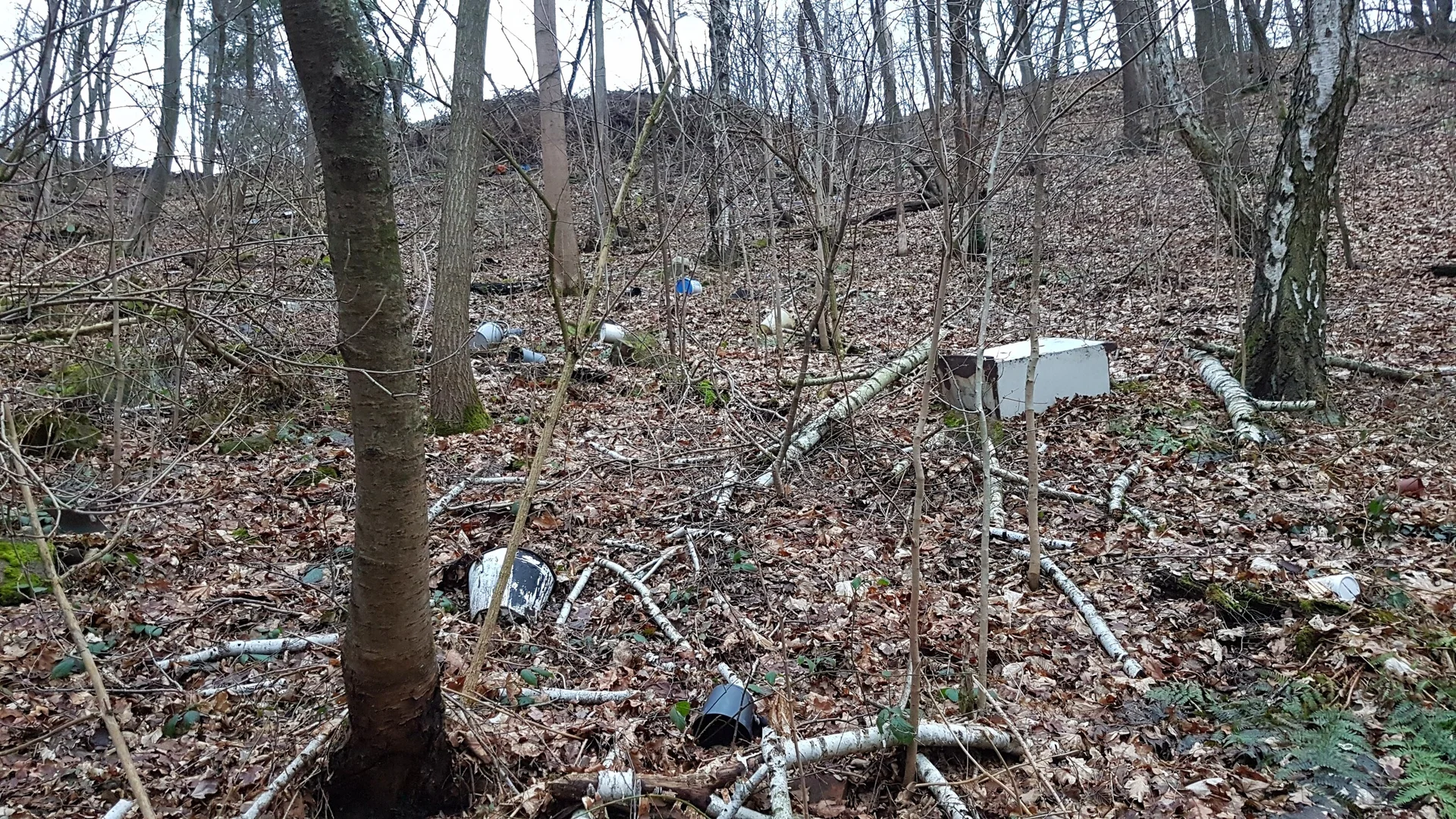 © DAV Landesverband Sachsen